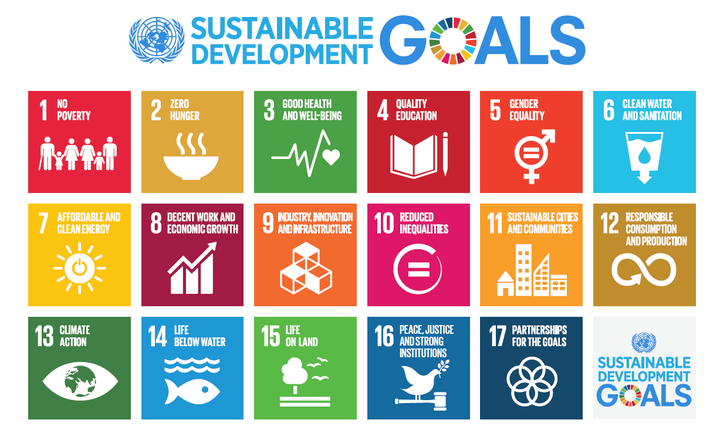 <p>Sustainable Development Goals (SDGs)</p>