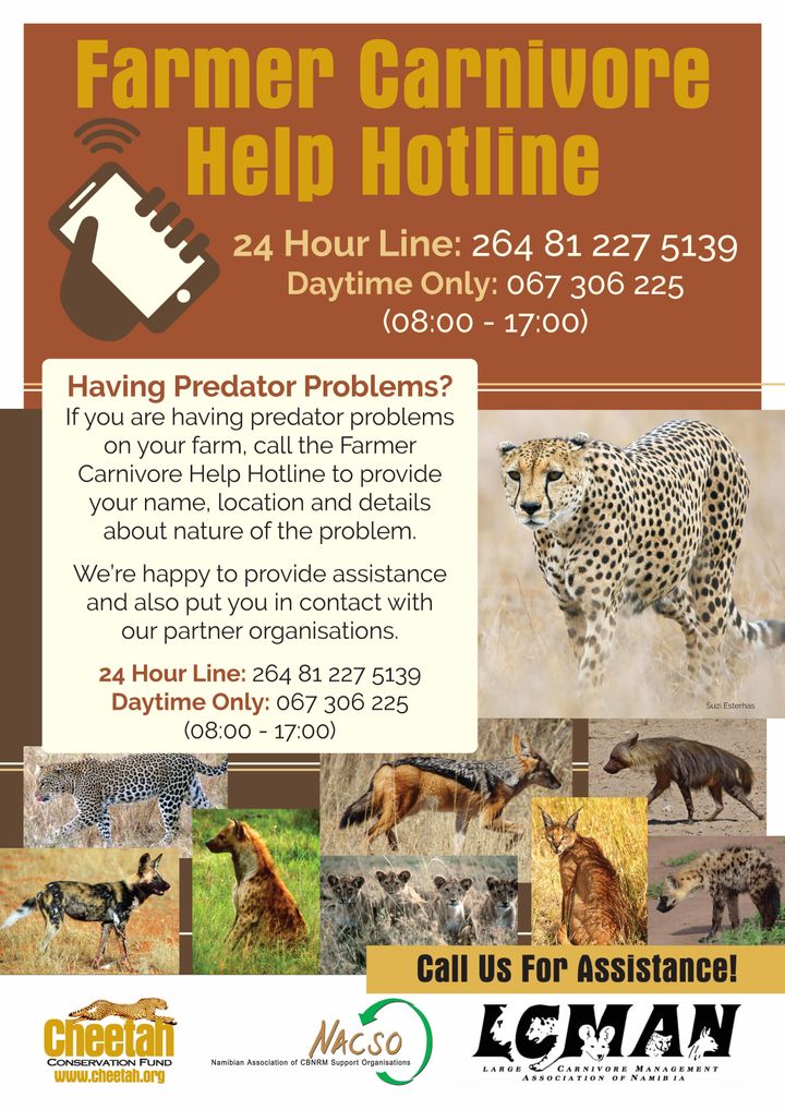 Posters will be made available on CCF’s site www.cheetah.org