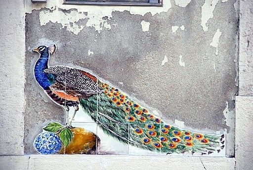 <p>Peacock in Porto</p>