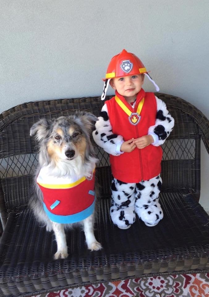 Kid And Dog Costumes: The 16 Best Coordinating Options For Halloween - The  Dodo