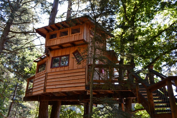 <p><em>The treehouse at Doe Bay</em></p>