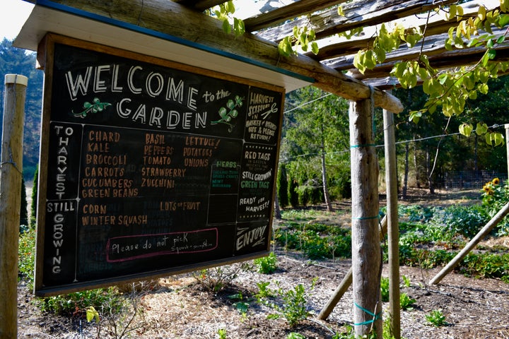 The garden at Pebble Cove Farm