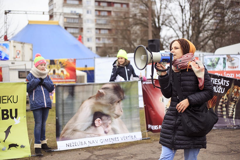 Dzīvnieku brīvība - Katrina Krigere