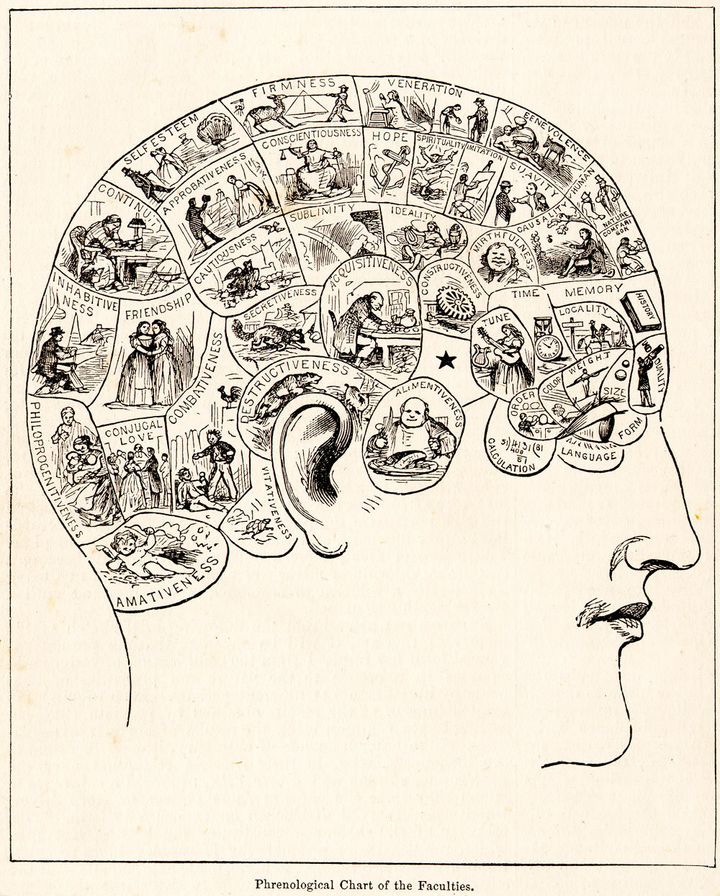 <p>Phrenology was a pseudoscience used in the 19th century to justify assumptions about intelligence, character, among other traits.</p>