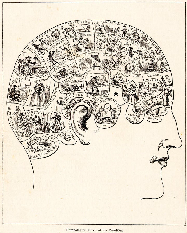 Phrenology was a pseudoscience used in the 19th century to justify assumptions about intelligence, character, among other traits.