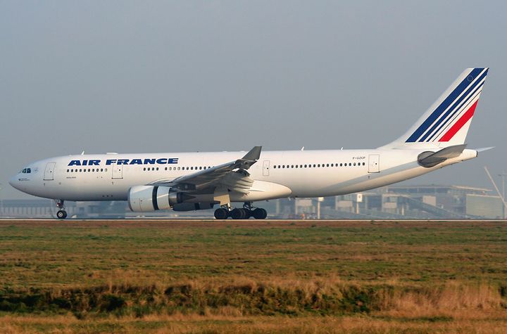 <p>Air France 447 crashed into the Atlantic Ocean on June 1, 2009 after its autopilot disconnected. The plane shown here is of the same type as that which crashed. </p>