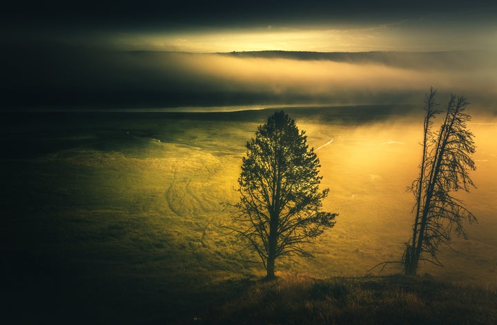 Sunrise over foggy Hayden Valley