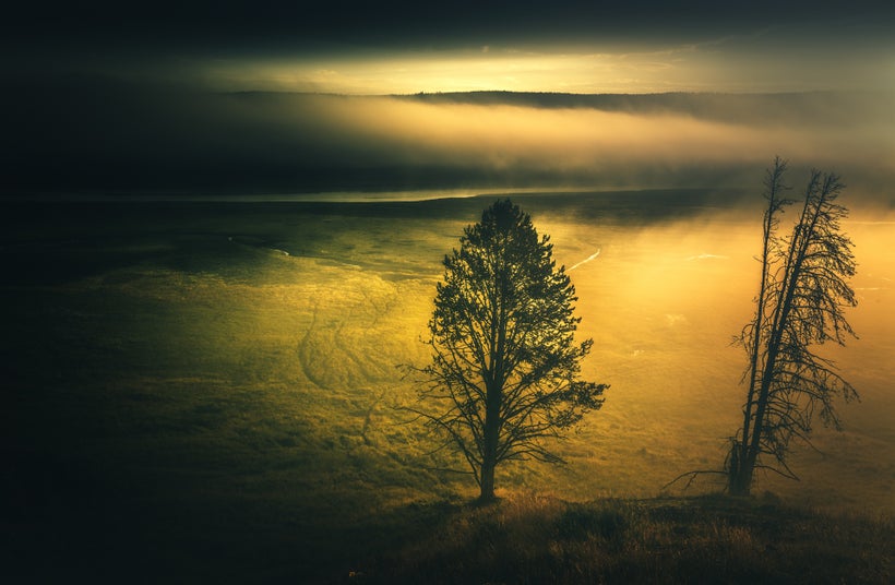 Sunrise over foggy Hayden Valley