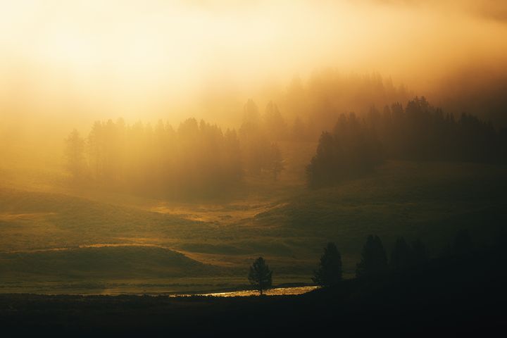 <p>Fog fills the valley as the sun rises</p>