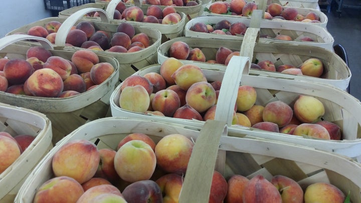 <p>South Carolina peaches</p>