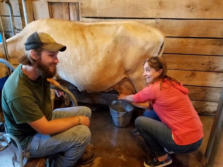 <p>Milking a Cow at Frying Pan Farm Park, Herndon VA</p>