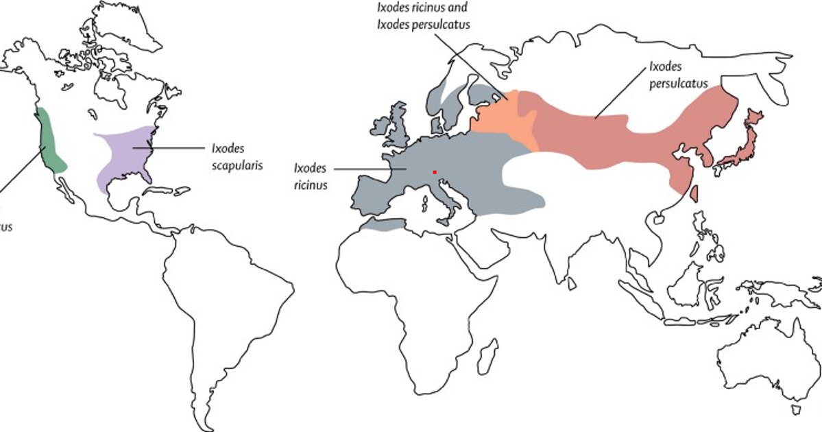 frontiers | geographical distribution and pathogenesis... Ticks and the diseases they carry | HuffPost Contributor