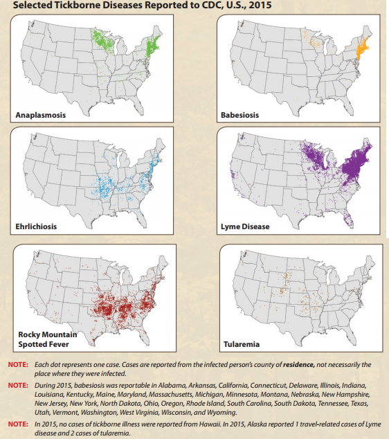 From the CDC brochure for Lyme disease 