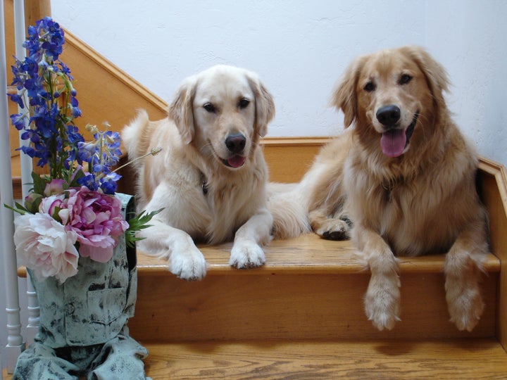 Max and his neighborhood friend Kotah.