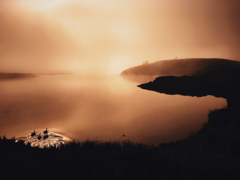Hayden Valley’s signature morning fog-glow.