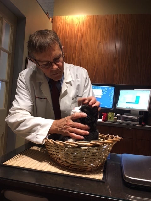 Dr. Mark Peterson examining Binky at Animal Endocrine Clinic www.animalendocrine.com