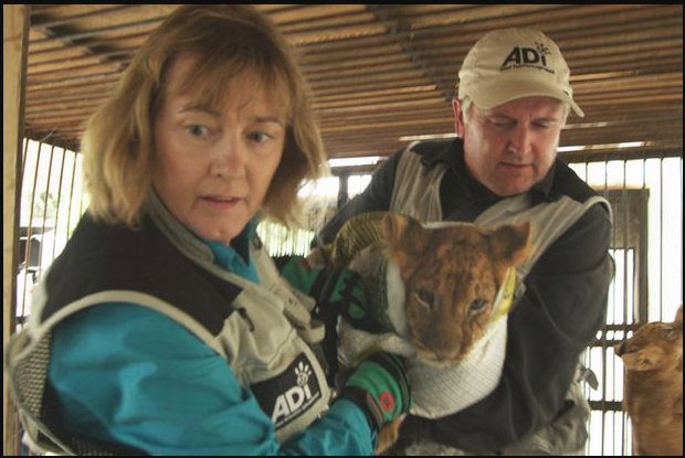 Jan Creamer and Tim Phillips rescuing a tortured cub from a vile circus.