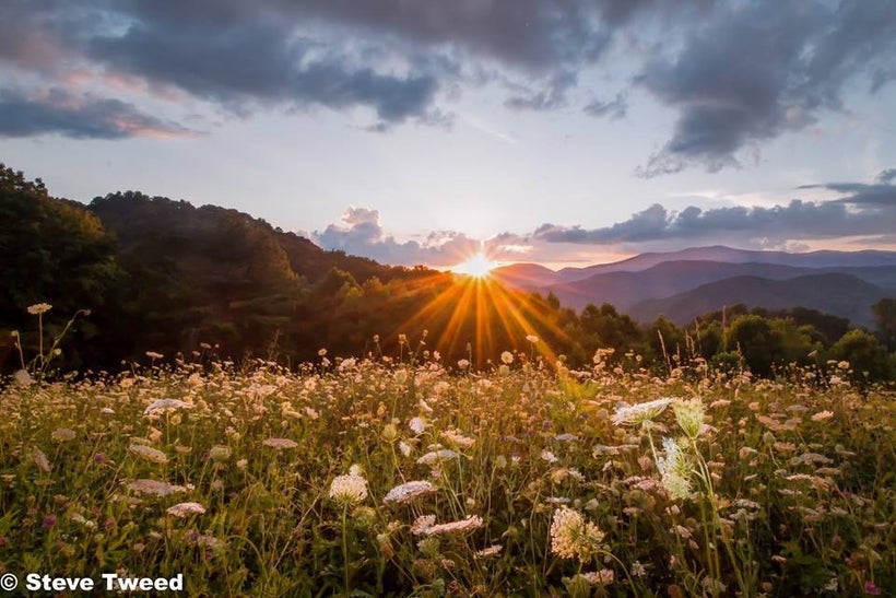 "<em>Fare Thee Well, Queen Anne</em>"
Taken at sunset on Tater Gap in northern Madison County, North Carolina.
