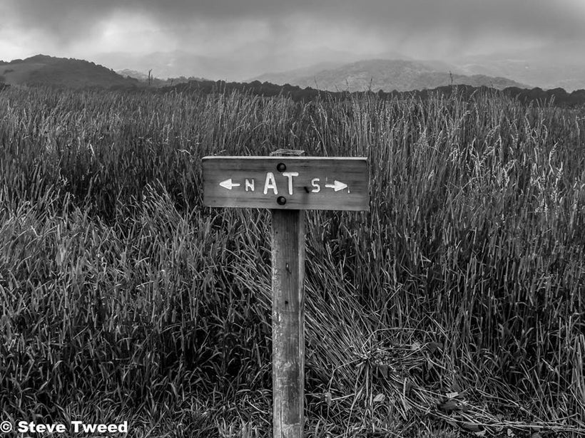 Appalachian Trail at Max Patch taken
