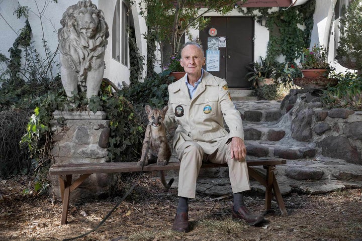 Hubert Wells, photographed with Johnny- a visiting mountain lion cub at his Thousand Oaks, Ca home, next to one of his only remaining lions. Wells, although known widely amongst animal trainers around the globe is one of the unsung stars behind nearly five decades of films, TV and commercials. 