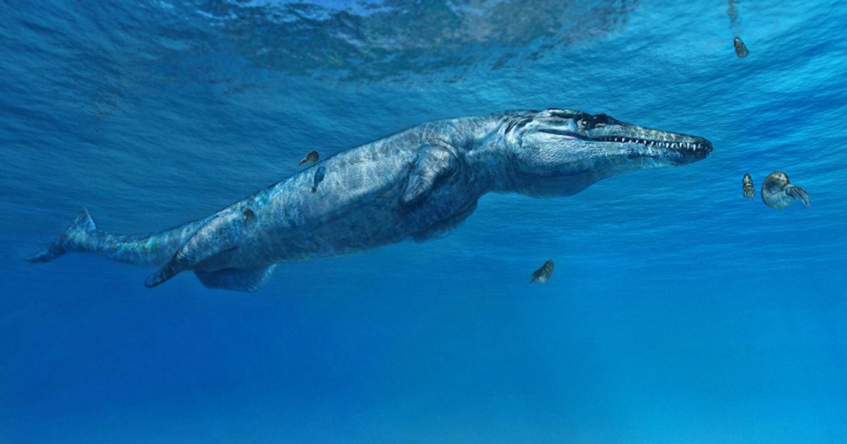 A New Prehistoric Sea Monster Has Been Discovered | HuffPost UK Tech