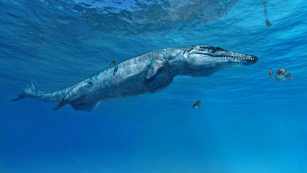 A New Prehistoric Sea Monster Has Been Discovered | HuffPost UK