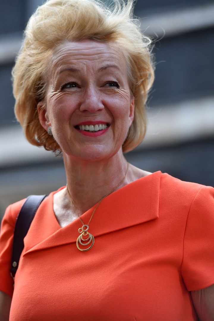 Leader of the House of Commons Andrea Leadsom