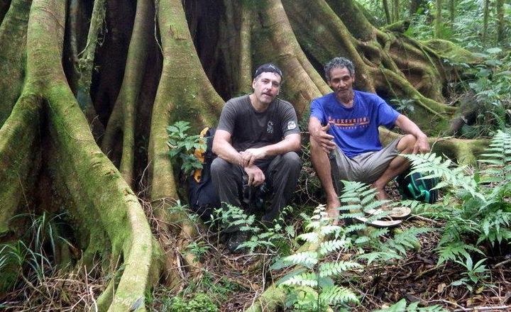 Dr. Gianluca Serra during one of the manumea surveys, with Malaita Onolua, 55 years, hunter and tourist guide from Aopo, in Savaii. He killed one Manumea 12 years ago which he sincerely regrets.