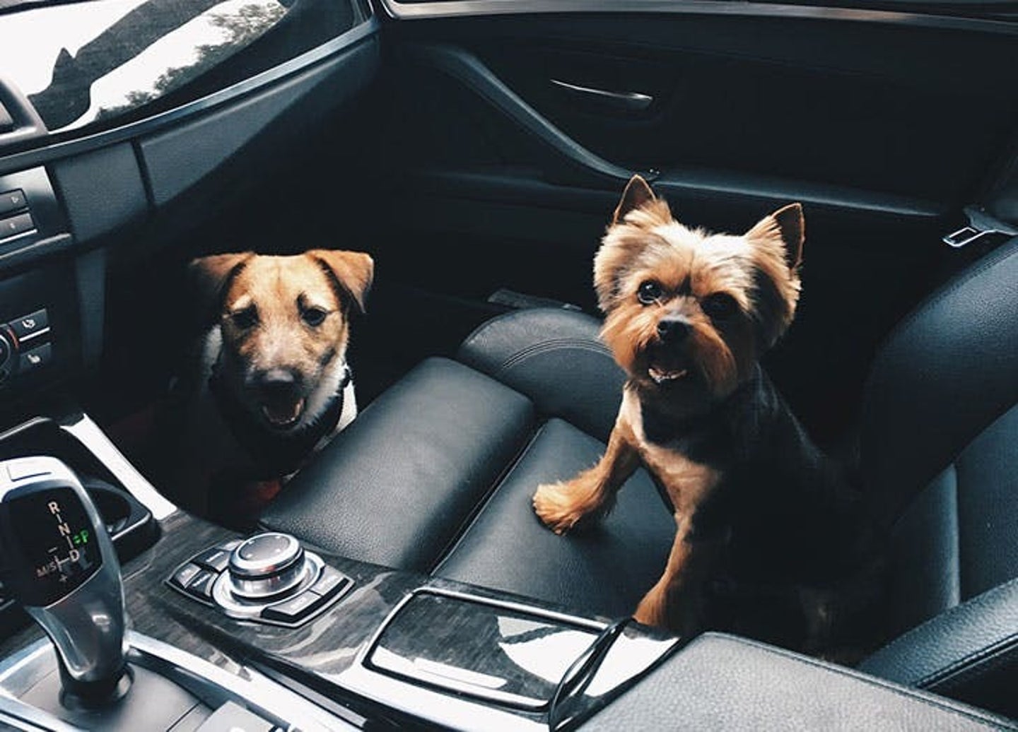 4 Reasons To Lease A Car (And 4 Reasons To Own One) HuffPost Life