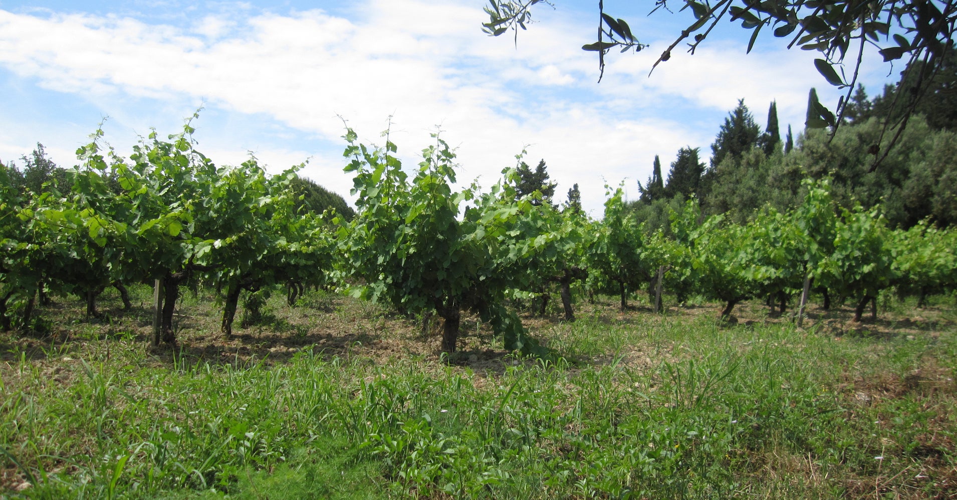 Small Family Farms Are Beautiful | HuffPost