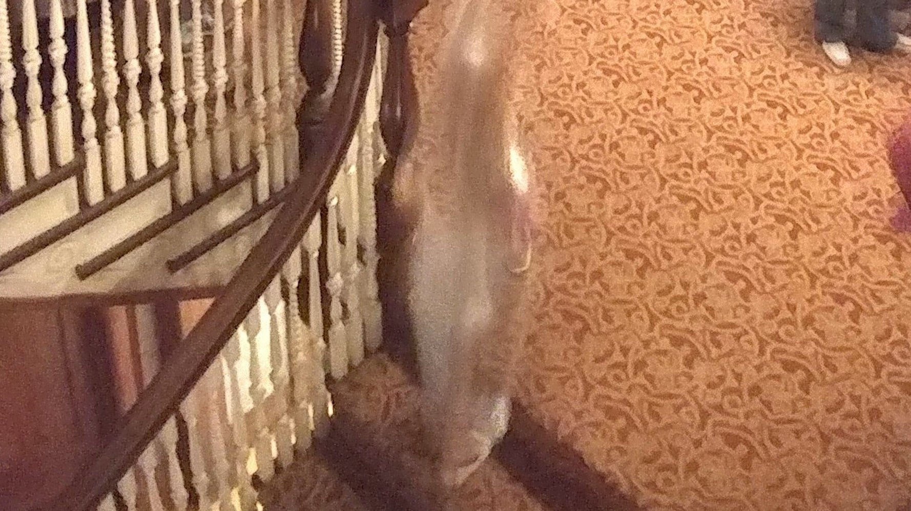 Ghosts Caught On Camera At Famed Stanley Hotel In Colorado HuffPost the-stanley-hotel-room-217-interesting-clip-death-state-paranormal