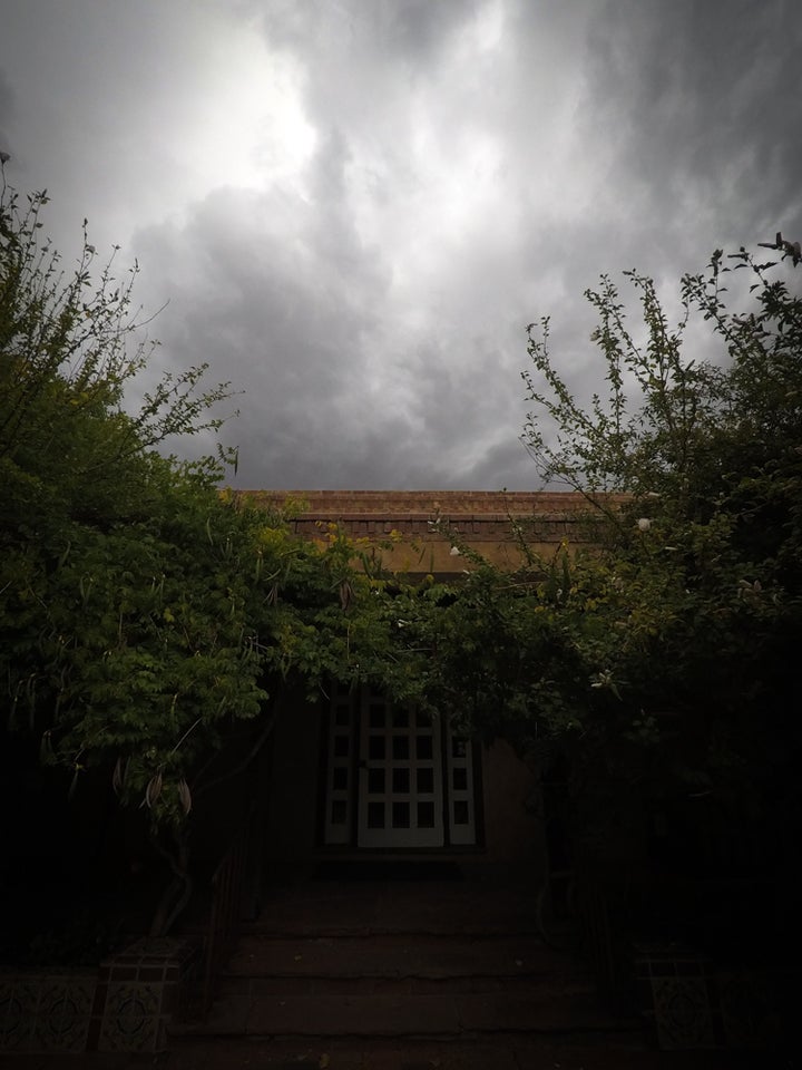 <p>Green plants are commonplace the closer you drive to the Rio Grande. </p>