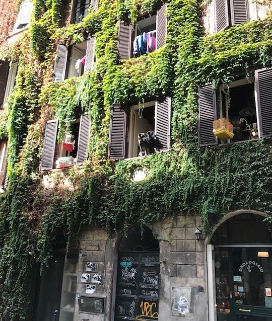 <p>Rome neighborhood</p>
