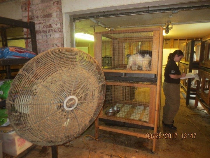 A fan covered with dirt inside the structure that housed 100 dogs and puppies.