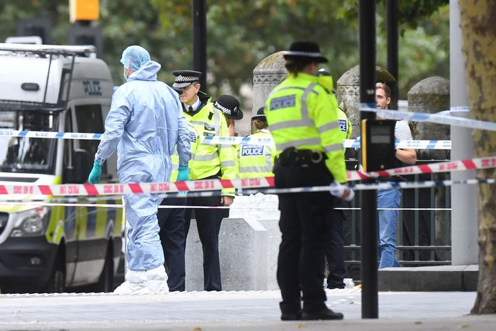 Police are appealing for information after a car crashed into pedestrians outside London's Natural History Museum on Saturday.