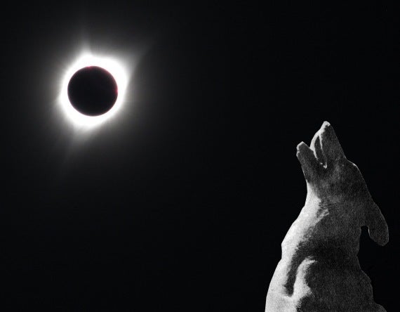 are dogs affected by the solar eclipse