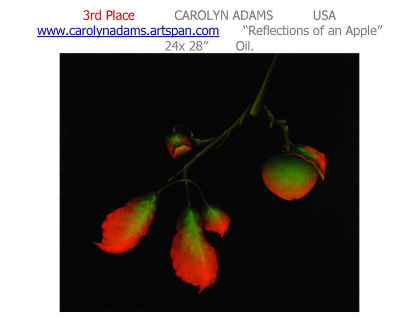 <a rel="nofollow" href="https://www.carolynadams.artspan.com/" target="_blank">ADAMS WEB SITE</a>