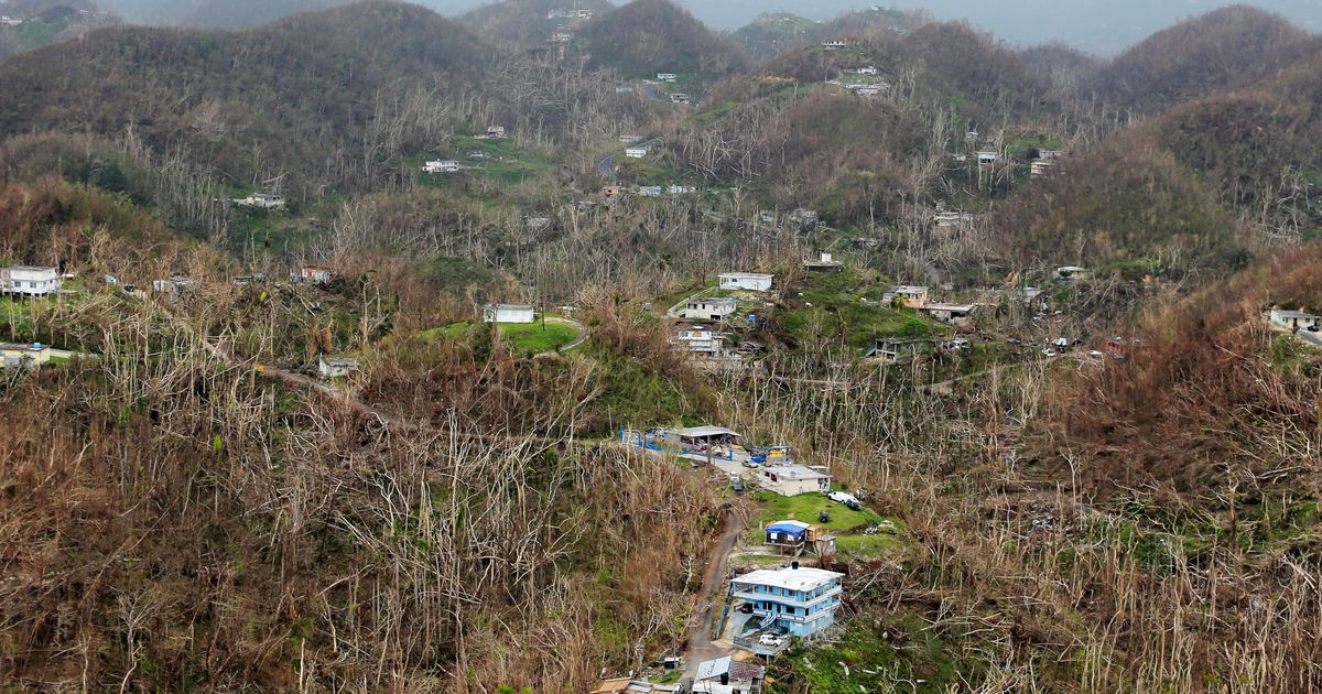 Vulture Capitalists Circle Above Puerto Rican Prey | HuffPost Latest News