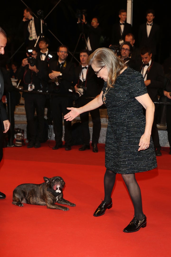 Carrie Fisher and her dog Gary attends 'The Handmaiden (Mademoiselle)' premiere during the 69th annual Cannes Film Festival i