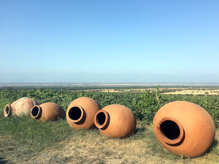 <p>Pheasant's Tears vineyard</p>