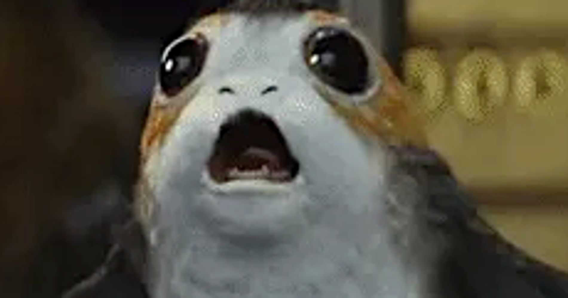 magnetic porg