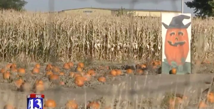 A 3-year-old boy was accidentally left behind at this corn maze in Utah, police said.