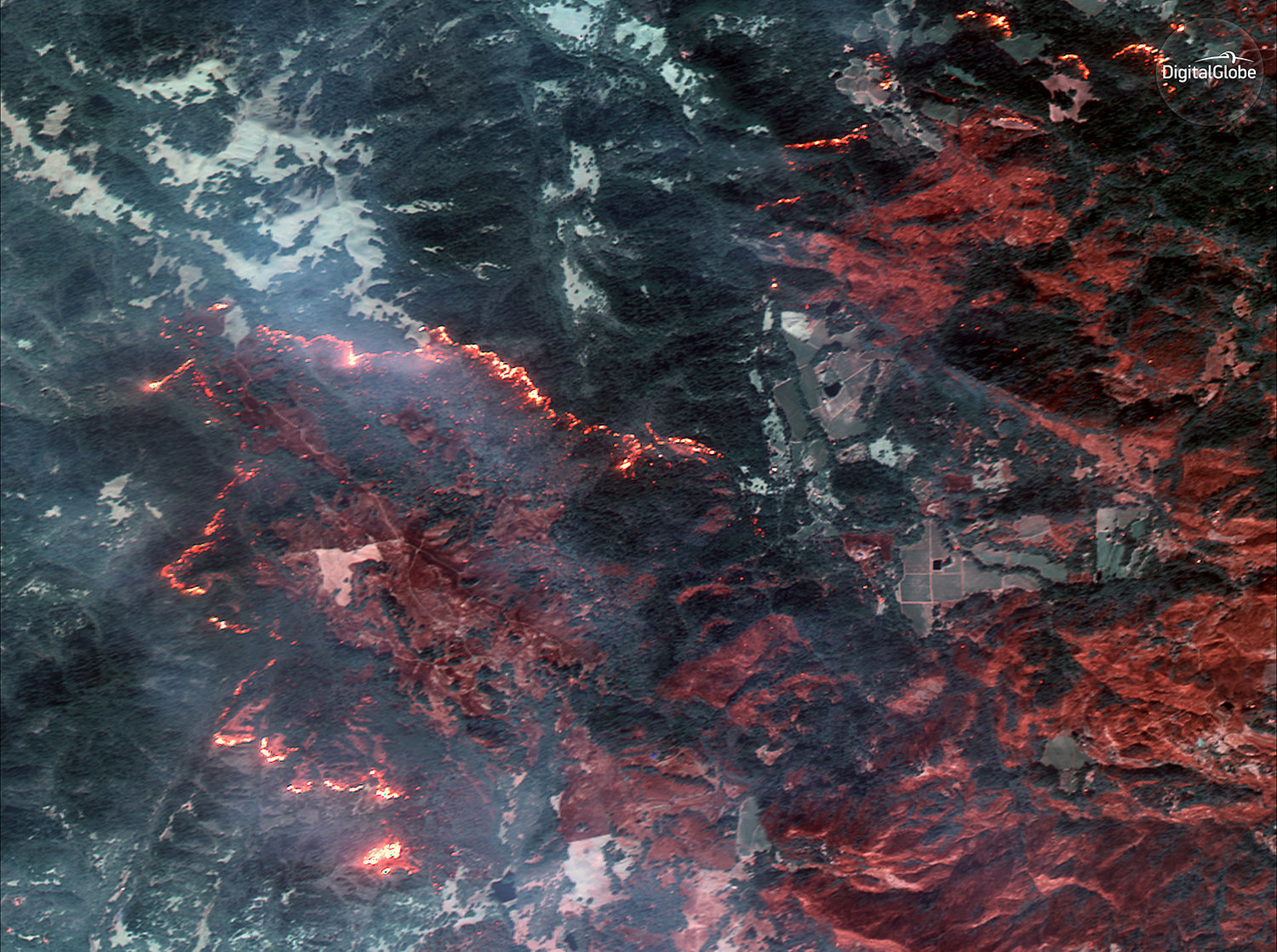 Horror Of California Wildfires Captured In Satellite And Aerial Photos   59df9bcf1500002000da1269 