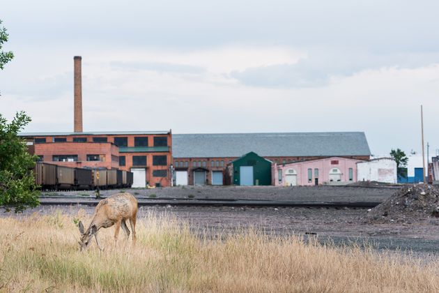 The Railroad Put This Montana Town On The Map But It Left - 