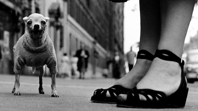 New York City, 1946. Elliott Erwitt (born 1928). Gelatin silver print.