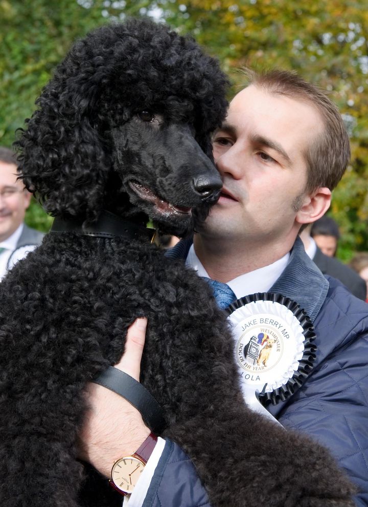 MP Jake Berry, pictured above with his prize-winning poodle Lola, is behind plans to commission a new Royal Yacht Britannia