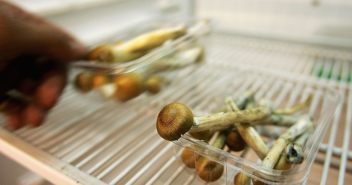 Magic Mushrooms Could Reset The Brain Of People With Depression Huffpost Uk Tech 