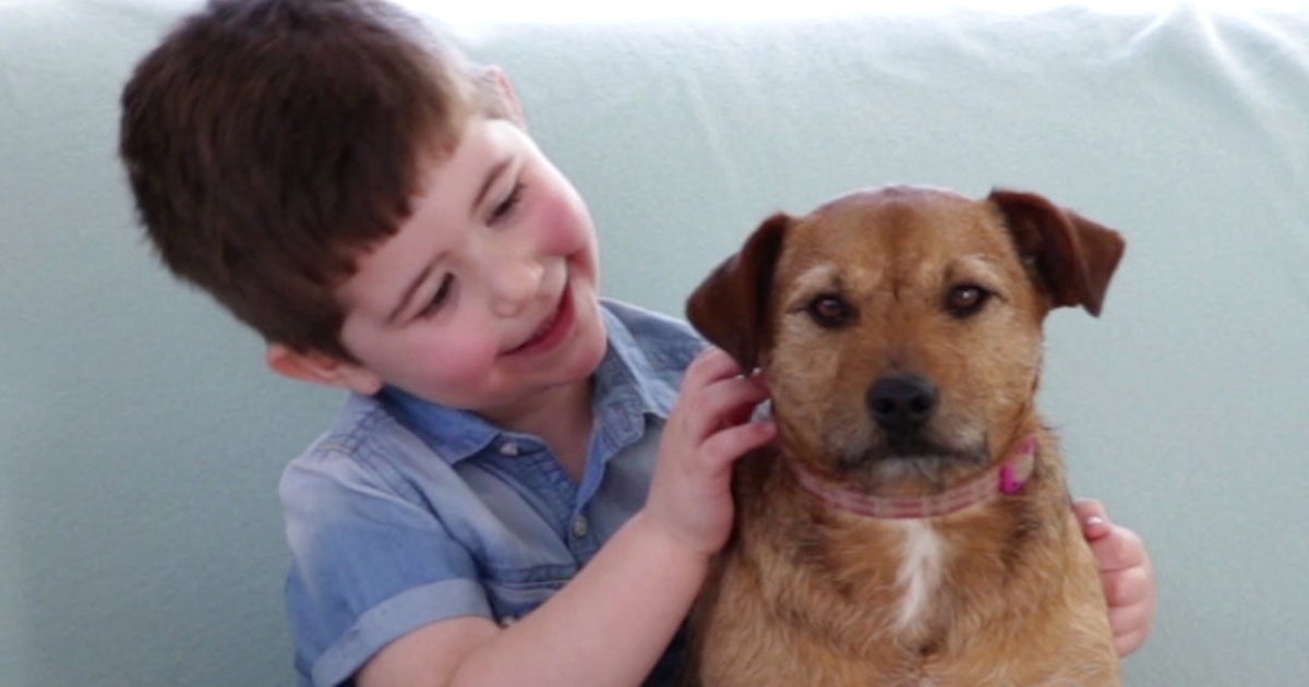 Revealed The UK's Top 10 Dog Names HuffPost UK Life