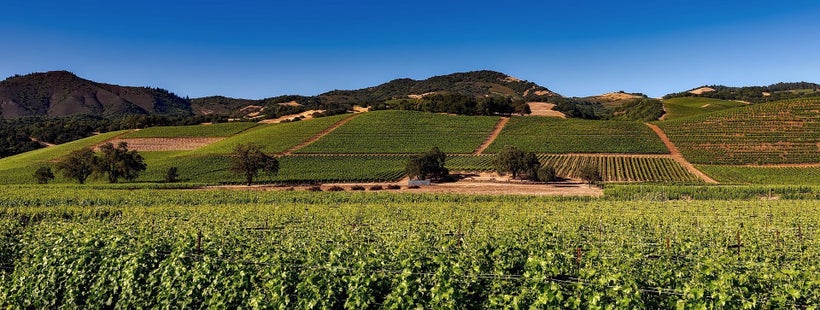 Napa Valley, California