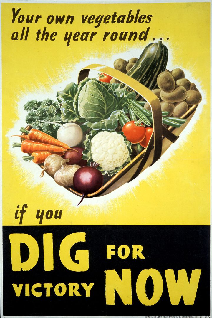 Dig for victory was a 1941 campaign post-WW2 